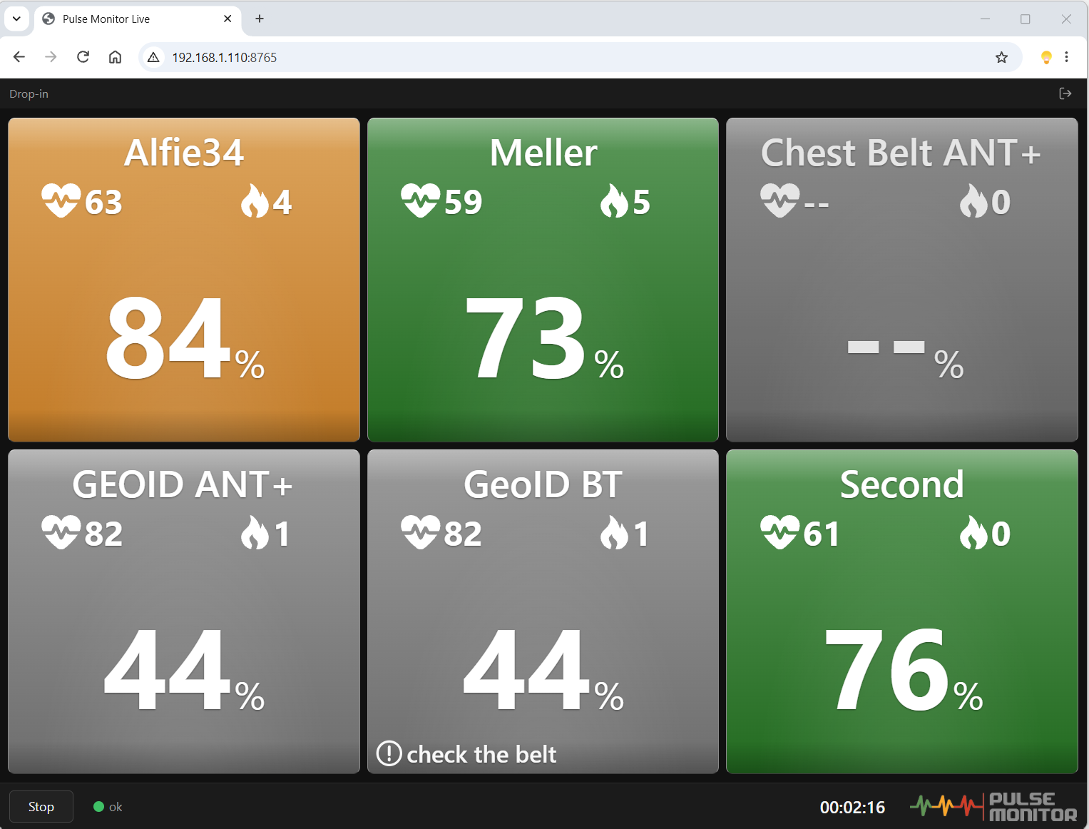 The live view in a browser.
